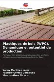 Plastiques de bois (WPC). Dynamique et potentiel de production