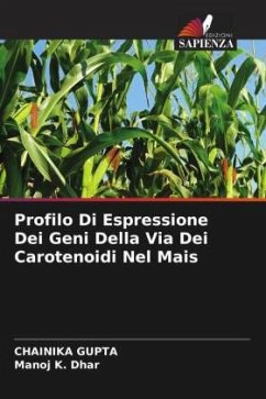 Profilo Di Espressione Dei Geni Della Via Dei Carotenoidi Nel Mais - GUPTA, CHAINIKA;Dhar, Manoj K.