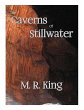 The Caverns of Stillwater (eBook, ePUB) - Bild 1