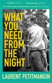 What You Need From The Night (eBook, ePUB)