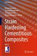Strain Hardening Cementitious Composites - Bild 1