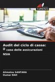 Audit del ciclo di cassa: il caso delle assicurazioni NSIA