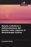 Azione collettiva e deforestazione del bambù nella regione di Benishangul Gumuz