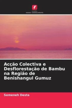 Cover Acção Colectiva e Desflorestação de Bambu na Região de Benishangul Gumuz