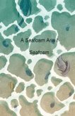 A Seafoam Aria 1 A Seafoam Aria 1