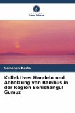 Kollektives Handeln und Abholzung von Bambus in der Region Benishangul Gumuz