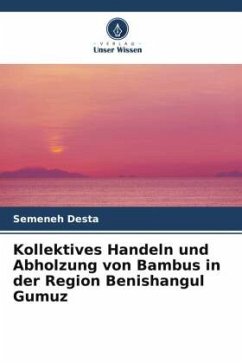 Kollektives Handeln und Abholzung von Bambus in der Region Benishangul Gumuz - Desta, Semeneh