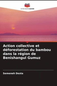 Action collective et déforestation du bambou dans la région de Benishangul Gumuz - Desta, Semeneh