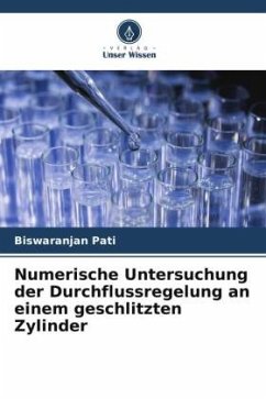 Numerische Untersuchung der Durchflussregelung an einem geschlitzten Zylinder - Pati, Biswaranjan