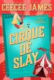 Cirque De Slay (Cirque de Slay Cozy Mysteries, #1) (eBook, ePUB)