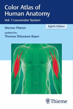 Color Atlas of Human Anatomy (eBook, PDF) - Platzer, Werner; Shiozawa-Bayer, Thomas