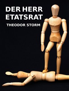 Der Herr Etatsrat (eBook, ePUB) - Storm, Theodor