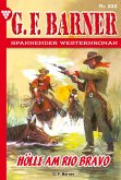 Hölle am Rio Bravo (eBook, ePUB)