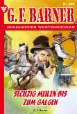 Sechzig Meilen bis zum Galgen (eBook, ePUB)