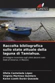 Raccolta bibliografica sullo stato attuale della laguna di Tamiahua.