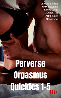 Perverse Orgasmus Quickies 1-5 (eBook, ePUB) - Bouche, Lariana; Feucht, Lissy; Hotstone, Mary; Hot, Pamela; Clit, Carmen; Öse, Mandy