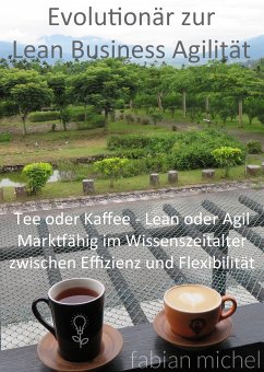 Evolutionär zur Lean Business Agilität (eBook, ePUB) - Michel, Fabian