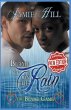 Blame it on the Rain - Bild 1