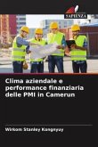Clima aziendale e performance finanziaria delle PMI in Camerun