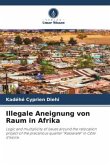 Illegale Aneignung von Raum in Afrika
