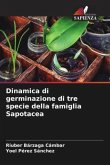 Dinamica di germinazione di tre specie della famiglia Sapotacea