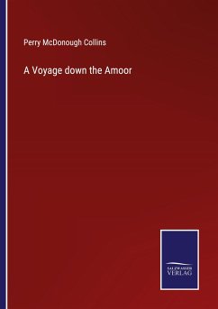 A Voyage down the Amoor - Collins, Perry McDonough