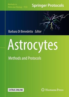 Astrocytes (eBook, PDF)