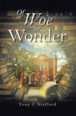 Of Woe or Wonder (eBook, ePUB) Of Woe or Wonder (eBook, ePUB)