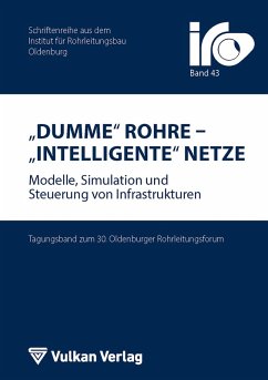 Dumme Rohre - Intelligente Netze (eBook, PDF)