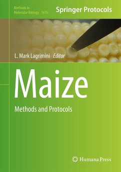 Maize (eBook, PDF)