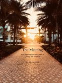 The Meeting, How Information Was Used To Create The Universe (eBook, ePUB)