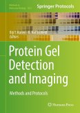 Protein Gel Detection and Imaging (eBook, PDF)