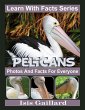 Pelicans Photos and Facts for Everyone... - Bild 1