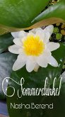 Sommerdunkel (eBook, ePUB)