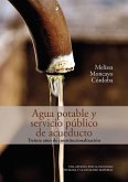 Agua potable y servicio público de acueducto: treinta años de constitucionalización (eBook, ePUB)