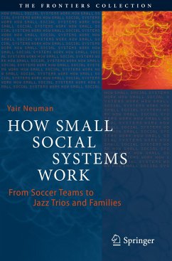 How Small Social Systems Work - Neuman, Yair
