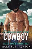 Zuhause mit dem Cowboy (eBook, ePUB)