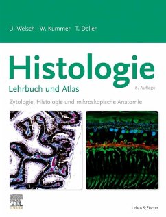 Histologie - Das Lehrbuch - Welsch, Ulrich;Kummer, Wolfgang;Deller, Thomas