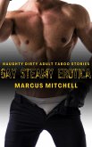 Gay Steamy Erotica (eBook, ePUB)