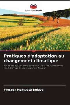 Pratiques d'adaptation au changement climatique - MAMPETA Bulaya, Prosper