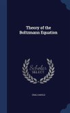 Theory of the Boltzmann Equation