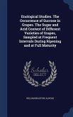 Enological Studies. The Occurrence of Sucrose in Grapes. The Sugar and Acid Content of Different Varieties of Grapes, Sampled at Frequent Intervals Du