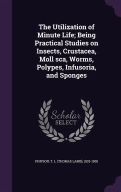 The Utilization of Minute Life; Being Practical Studies on Insects, Crustacea, Moll sca, Worms, Polypes, Infusoria, and Sponges - Phipson, T. L.