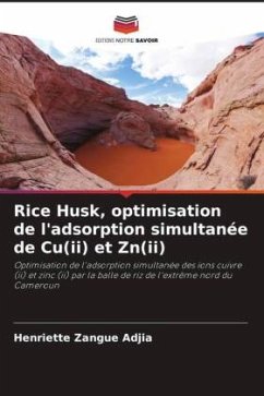 Rice Husk, optimisation de l'adsorption simultanée de Cu(ii) et Zn(ii) - Zangue Adjia, Henriette