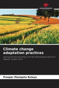 Climate change adaptation practices - MAMPETA Bulaya, Prosper