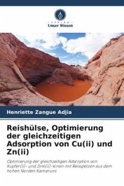 Reishülse, Optimierung der gleichzeitigen Adsorption von Cu(ii) und Zn(ii) - Zangue Adjia, Henriette