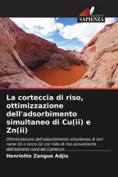 Cover La corteccia di riso, ottimizzazione dell'adsorbimento simultaneo di Cu(ii) e Zn(ii)