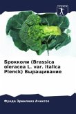 Brokkoli (Brassica oleracea L. var. italica Plenck) Vyraschiwanie