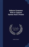 Hebrew Grammar With A Copious Syntax And A Praxis