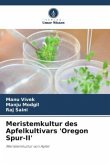 Meristemkultur des Apfelkultivars 'Oregon Spur-II'